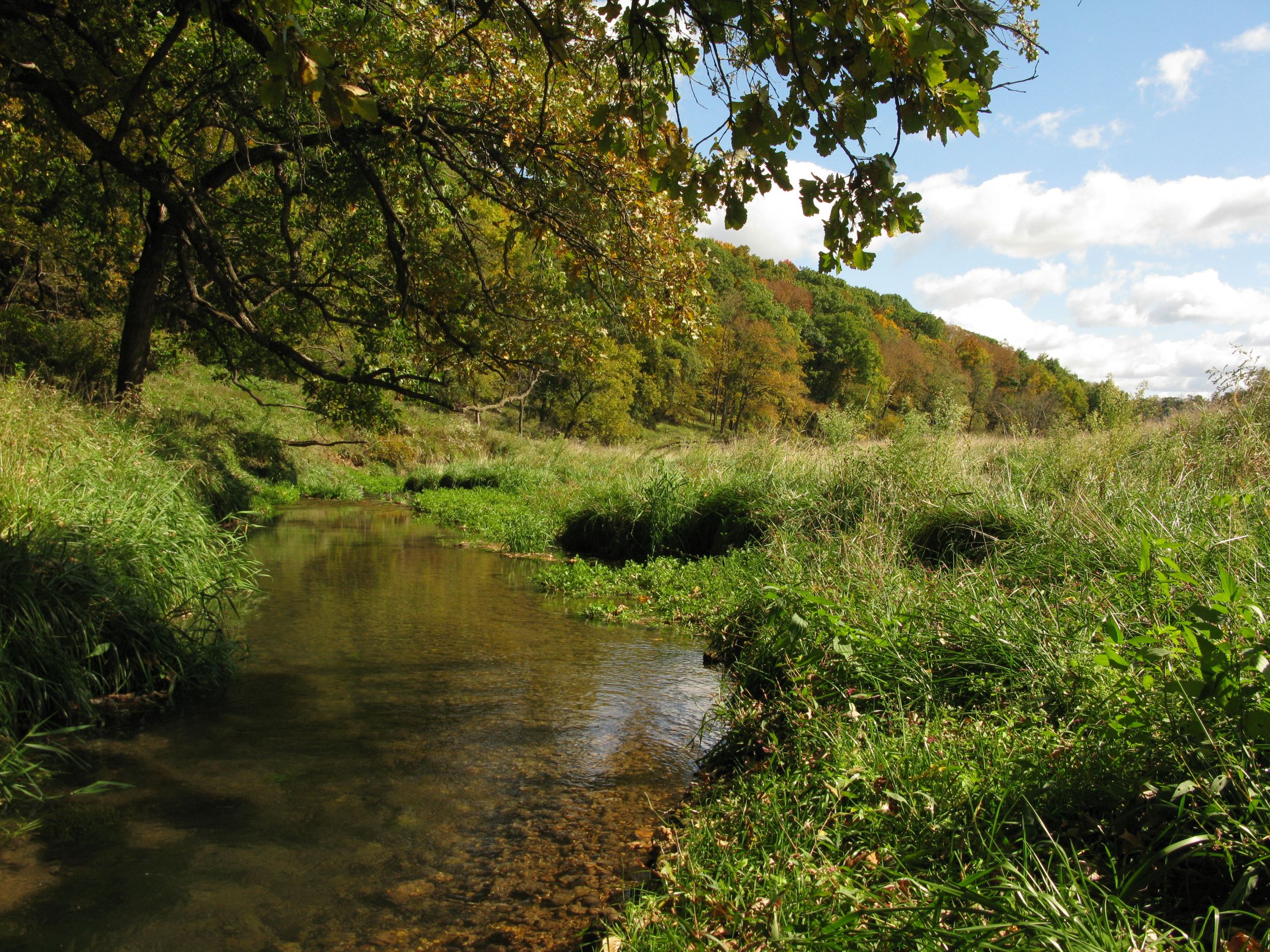 Ever-flowing - Iowa Landowner Options